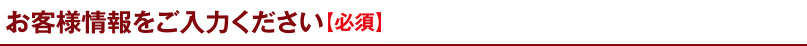 お客様情報をご入力ください【必須】