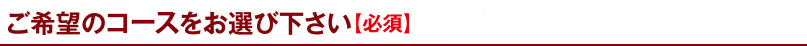 ご希望コースをお選びください【必須】