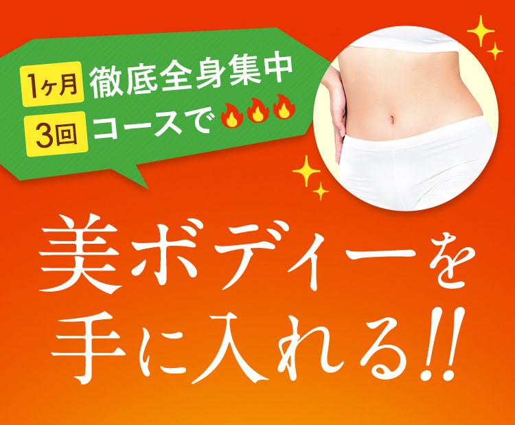 1ヶ月 徹底全身集中!3回コースで美ボディーを手に入れる!!