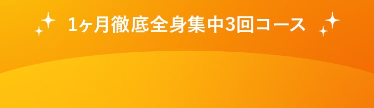キャンペーン限定の特別価格!お早めのご予約をお勧めします。今だけ特別価格でご案内!1ヶ月徹底全身集中3回コース1回あたり3,270円(税込 3,593円) たっぷり 60分を3回 9,800円(税込 10,780円)  