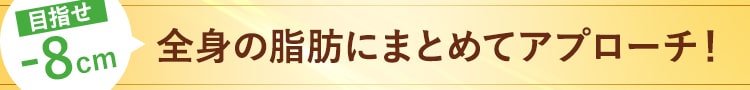 全身の脂肪にまとめてアプローチ！