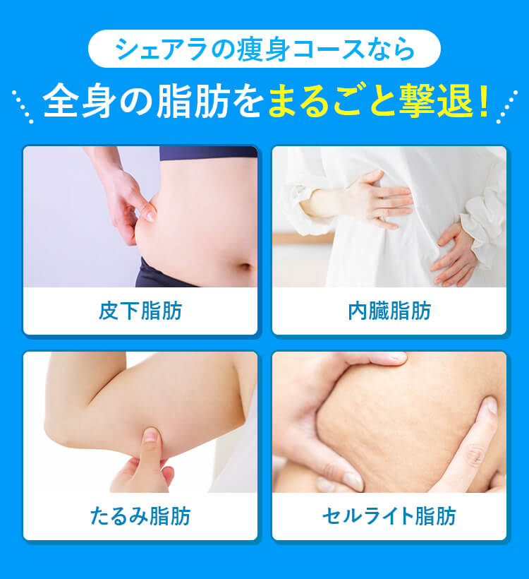 シェアラの痩身コースなら全身の脂肪をまるごと撃退！皮下脂肪 内臓脂肪 たるみ脂肪 セルライト脂肪